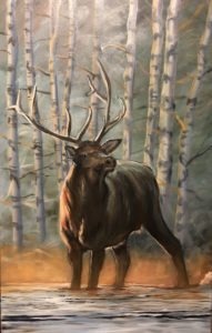 A painting of a majestic elk standing in a sunlit forest of tall, slender trees with light gray bark. Like savoring a morning drink, the elk, with its large antlers, graces the grassy earth-toned ground against a soft, misty backdrop.