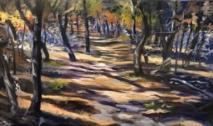 A vibrant painting of the Cedar Swamp Trail in autumn. Sunlight filters through the trees, casting dappled shadows on the ground. The foliage displays warm tones of orange, yellow, and green. The scene feels serene and inviting.