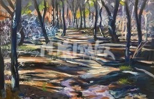 The Atlantic White Cedar Swamp Trail is artistically portrayed with trees casting shadows and a mix of warm browns, cool blues, green, and light. Sunlight filters through the leaves, crafting a serene and mystical ambiance.