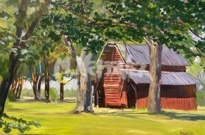 A rustic red barn sits among lush grass and tall trees under a blue sky, with sunlight filtering through the canopy. This scene is reminiscent of the Atlantic White Cedar Swamp Trail.