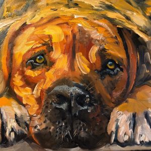 A vibrant pet portrait showcases a dogs face in colorful close-up. The soulful eyes and prominent nose are highlighted with shades of orange, brown, and black. Brushstrokes add texture as the dog appears to be resting its head on its paws.