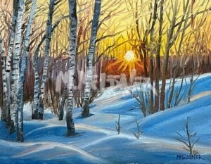 A winter forest scene with birch trees and snow-covered ground features the sun setting, casting a warm glow through the branches. This creates a peaceful and magical atmosphere perfectly captured in A warm sun on a cool day.