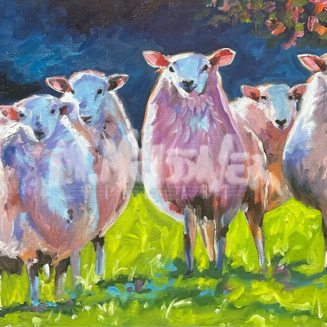 5 Ewes (Sheep) painting