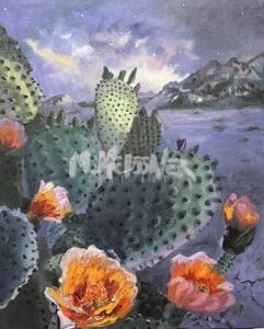 Prickly pear bloom in desert