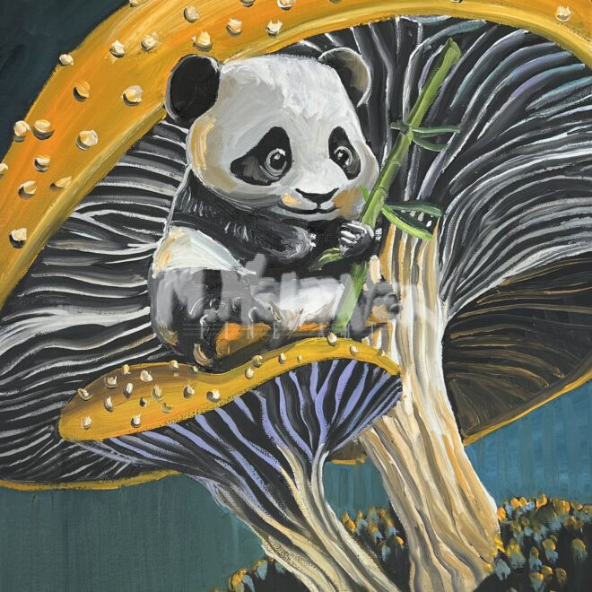 Mushroom Panda Art