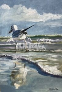 Seagull on beach