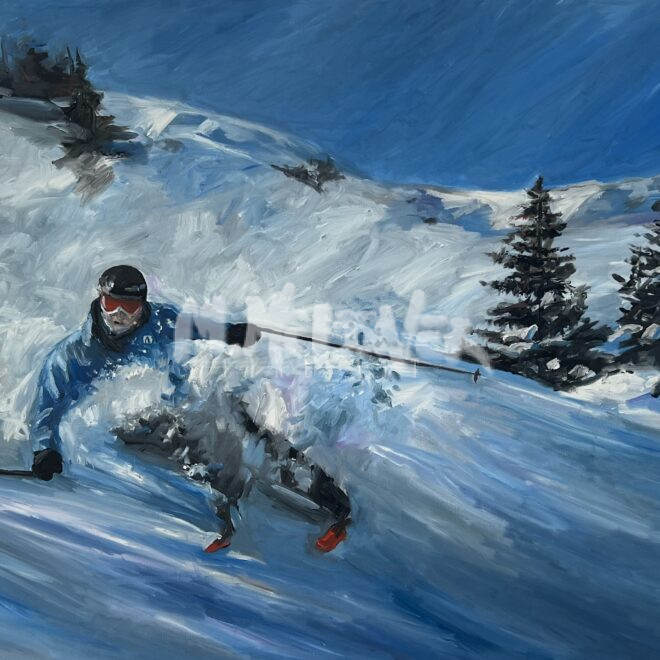 downhill powder skier