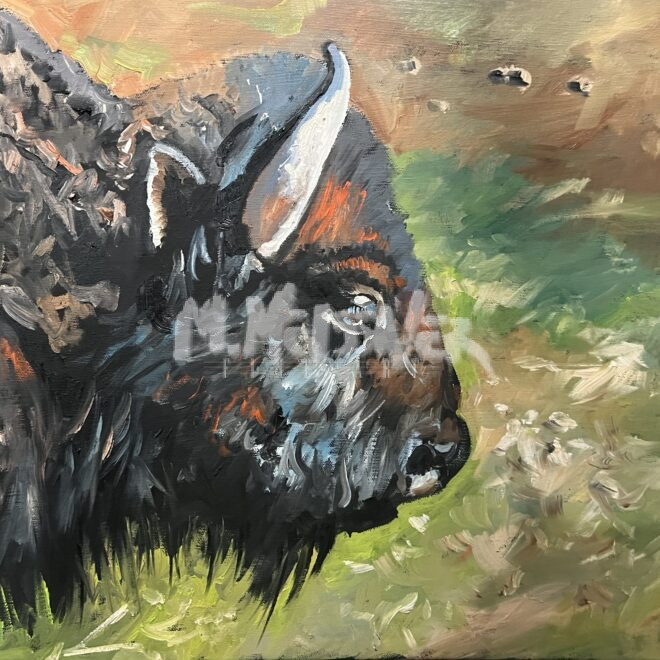 Bison Headshot Painting