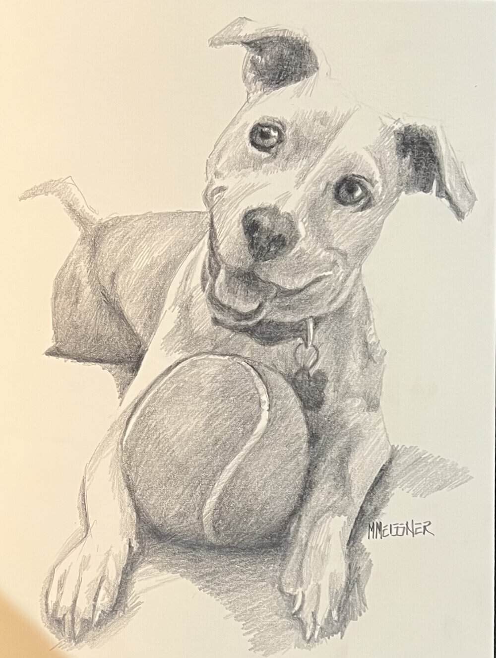 Pencil drawing of a happy dog lying down with a tennis ball in front, looking up with ears perked and mouth slightly open. This delightful scene is an example of Custom Pet Portraits, perfect for capturing your furry friend’s unique personality. The artist's signature is in the bottom right corner. Pencil drawing of a happy dog lying down with a tennis ball in front, looking up with ears perked and mouth slightly open. This delightful scene is an example of Custom Pet Portraits, perfect for capturing your furry friend’s unique personality. The artist's signature is in the bottom right corner.