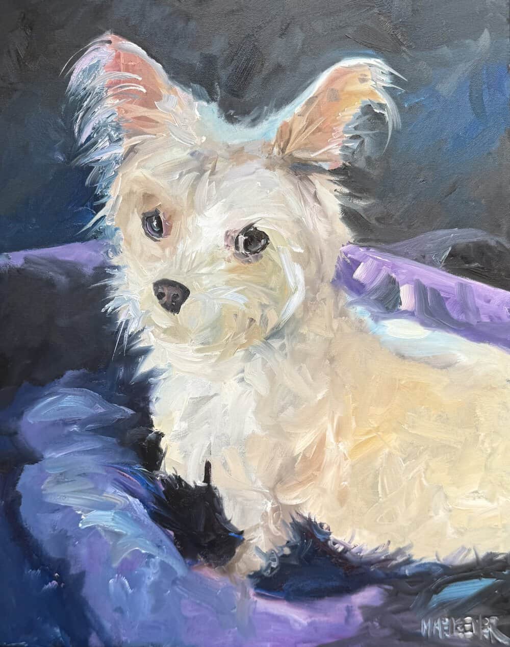 An oil painting of a small, fluffy white dog with upright ears, lying on a blue and purple textured blanket with a dark background—perfect for those seeking custom pet portraits that beautifully capture your beloved companion’s personality. An oil painting of a small, fluffy white dog with upright ears, lying on a blue and purple textured blanket with a dark background—perfect for those seeking custom pet portraits that beautifully capture your beloved companion’s personality.