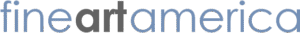 The logo for Fine Art America features the words fine art america in lowercase, with fine and america in light blue and art in dark gray—a fitting touch for showcasing oil paintings by artists like Michael Meissner.